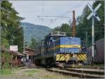 Autour de la voie ferrée / Rund um die eiserne Bahn (Herbstevent 2024) - Durch den Einsatz der MOB Gm 4/4, des GFM BDe 4/4 141 und natürlich des Dm 2/2 N° 3  Le Biniou  zeigte die