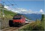 Infolge Bauarbeiten Zwischen Puidoux Chexbres und Lausanne war diese Strecke gesperrt und die IR von Luzern nach Genève verkehrten von und nach Vevey via die Train des Vignes Strecke (wobei der