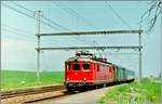 Die SBB Re 4/4 I 10035 erreicht mit ihrem Regionalzug von Vallorbe nach Lausanne den Bahnhof von Arnex. 

3. März 1995