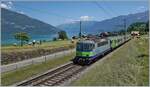 Die BLS Re 4/4 II 504 schiebt bei Faulensee ihren EW III RE von Zweisimmen nach Interlaken Ost. 

14. Juni 2021