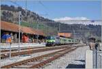 In Zweisimmen wartet die BLS Re 4/4 II 501 mit ihrem EW III RE nach Interlaken auf die Abfahrt. 

14. April 2021