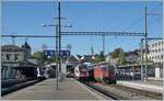 Die SBB Re 4/4 II 11130 ist von Zürich HB kommend mit ihrem IC 4 nach Stuttgart in Schaffhausen angekommen und wird in Kürze nach Singen weiterfahren.