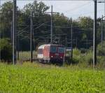 Nachtrag zur Re 4/4 11141. Nach dem Bild von Stefan im Swiss-Express-Gewand und dem vom Ersatzteilspender in Koblenz, noch ein paar aus den letzten zwei Betriebsjahren mit den Gubahnzgen. Rmlang, September 2021.



