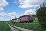 Die SBB Re 4/4 II 11130 ist kurz vor Bietingen mit ein IC auf dem Weg nach Singen.

19. Sept. 2022