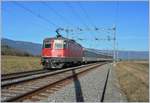 Die SBB Re 4/4 II schiebt ihre Regionalzug von Vallorbe in der weiten 180 Grad Kurve oberhalb von Arnex Richtung Lausanne.
23. Jan. 2008