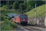 Die  Re 10/10  bestehend aus der SBB Re 420 337-8 und einer Re 6/6 machen der Alten Hauenstein Linie als Gebirgsbahn alle Ehre. Die beiden Loks verlassen mit einem Güterzug bei Läufelfingen den 2495 Meter langen Hauensteintunnel und fahren nun die  Hauenstein-Nordrampe  hinunter. 11. Juli 2018