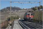 Die Nummer der SBB Re 4/4 II 11286 hat der neuartigen Rangier(?)-Kupplung weichen müssen und ist nun leicht erhöht unter ohne Schwierigkeiten unter dem linken Fenster zu finden. 

Mehr Schwierigkeiten bereitet mir die Tatsache, dass auf den Gleis neue Schienen liegen: Wurde doch letzten Sommer die Strecke Puidoux - Lausanne im Sommer Gesamterneuert.

Bei Grandvaux. den 15. Feb. 2019