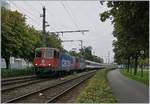 Umlaufbedingt verkehrt der EC 191 mit zwei SBB Re 4/4 II (bzw. Re 421); im Bild ist der Zug bai der Ausfahrt in Bregenz zu sehen. 

17. Sept. 2019
  