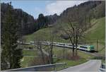 Die BLS Re 4/4 II 504 ist mit einem RE von Interlaken Ost nach Zweisimmen unterwegs und fährt gerade durch den Bahnhof Enge im Simmental. 

14. April 2021