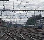 Der Bahnsteig zu kurz, das Objektiv auch und so gibt es nur ein  mässiges  Bild der SBB Re 4/4 II 11161 in Grün vor ihrem IR Neuchâtel - Lausanne, die auf den Abstellgleisen auf den