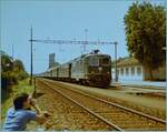 Einen ganz besonderen Zug gab es im Sommer 1981 in Büren zu fotografieren. Eine SBB Re 4/4 II überführte dreizehn FS Wagen als Leermaterial und wurde - aus welchen Gründen auch immer - über die Strecke Lyss- Solothurn geleitet.

Das Bild zeigt den langen Zug bei der Durchfahrt in Büren an der Aare und links im Bild einen Schnupperlehrling, der wie ich, auch ein Bild des besonderen Zuges bekommen wollte. 

Analogbild (110 Film) / 13. Juli 1981