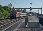 Die SBB Re 4/4 11191 ist bei Chambésy mit einem HVZ IR auf dem Weg nach Genève. 

19. Juni 2018