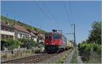 Die SBB Re 4/4 II 11252 (Re 420 252-9) 'Smille' ist mit einem Postzug auf der letzten Einspurstrecke der Jura-Fuss Bahnstrecke bei Ligerz unterwegs. 

11. Juli 2025