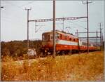Eine Swiss Express Re 4/4 II fährt mit dem IC 126 von St.Gallen nach Genève durch die Abzweigstation Gruemet. Leider war ich mir damals des Fehlers nicht bewusst, Masten von der Lok zu platzieren, ebenso fragte ich mich heute, wie ich damals als Stationslehring in Mellingen beschäftigt, zu dieser Fotostelle gekommen bin.

Analogbild vom 16. Juli 1982