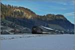 Im noch schattigen Simmental zieht bei Boltigen die BLS Re 4/4 163 ein  GoldenPass  IR Richtung Zweisimmen.