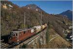 Die scheinbar sehr gut gepflegte BLS Re 4/4 185 erreicht mit einem Güterzug auf der Fahrt Richtung Domodossola in Kürze den Bahnhof Preglia.