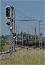 BLS Re 4/4 166 - 173, ab 1970; die BLS Re 4/4 173  Lötschental  ist bei der WB Haltstelle Altmarkt auf dem Weg in Richtung Olten.  

22. Juni 2017 