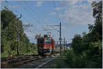 Die SBB Re 430 358-2 bei Vufflens la Ville, Abzweigung zum Industrieangschluss.
29. August 2018
