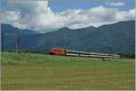 Eine RE 460 ist mit ihrem  Gotthard -IR kurz vor Riazzino schon fast am Ziel ihrer Fahrt.