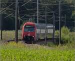 Re 450 040 mit der Kurzversion der S-Bahn Zürich bei Rümlang.