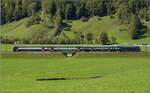 Im tiefeingeschnittenen Tal der Linth zeigt sich ein unbekannter Zug der S-Bahn Zürich mit Re 450 in ganz besonderem Licht. Diesbach, September 2019.