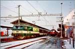 Die BT (Bodensee Toggenburg Bahn) Re 4/4 N° 96 (Re 456 096) ist mit einen Voralpenexpress (VAE) von Romanshorn nach Luzern unterwegs und konnte beim Halt in Pfäffikon SZ fotografiert werden. 
Im Hintergrund ist noch eine Ae 6/6 zu erkennnen.

Analogbild vom 27. Jan. 2000