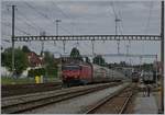 Die SBB Re 460 102-7 verlässt Sursee mit einem IR Richtung Luzern.
27. Aug. 2017
