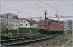 Die SBB Re 6/6 11689 (Re 620 089-3) im Rangierbhanhof von Biel. 

5. April 2019