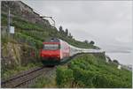 Impressionen vom nicht so gelungenen ersten  Umleitungswochenende  über die  Train des Vignes  Strecke infolge baubedingter Streckensperrung Vevey- Lausanne. 

Talwärts bieten die 38 Promille Rampe der  Train des Vignes Strecke  kaum Probleme, und so fährt die Re 460 mit ihrem IR/RE problemlos in Richtung Vevey. 

29. August 2020