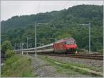 Eine SBB Re 460 mit einen IR 90 auf der Fahrt von Brig nach Genève Aéroport kurz nach St-Maurice.