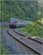 Sommerfahrplan 2018: Infolge Baustellen bedingten Kapazitätseinschränkungen auf der Strecke Olten - Basel via Tecknau, verkehrten etliche Züge praktisch ohne Fahrzeitverlust via die  Alte Hauensteinlinie  , wie hier die SBB Re 460 070-6 mit einem IC nach Basel SBB, kurz nach Rümligen. 

18. Juli 2018