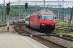 SBB 460 053 durcheilt schlingelend Brugg AG am 25 Mai 2019. 