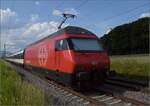 Fernverkehrstag auf der Altstrecke.

Re 460 098 'Rohrdorfer Berg/Reusstal' bei Bettenhausen. Juni 2023.