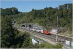 Eine SBB Re 460 ist in Wanzwil (Dienst- und Abzweigstation) auf dem Weg in Richtung Bern. 

12. Sept. 2022  