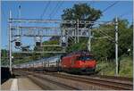 Eine SBB Re 460 mit ihrem IC nach St-Gallen ist bei Genthod Bellevue in Richtung Lausanne unterwegs.

19. Juni 2018