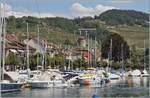 Als wir in Lutry auf unser Schiff nach Vevey warteten, sah ich, dass von dieser Stelle die Strecke Lausanne - Bern im Lavaux oberhalb von Lutry ein ganz passables Motiv abgeben w�re. Und bald darauf kam auch schon ein Zug: Ein SBB RBDe 560  Domino  als S 40 24653 auf dem Weg von Lausanne nach Fribourg. Der Zug �berquert gerade den 117 Meter langen Ch�telard-Viadukt. 

6. August 2026