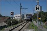 Vom Bahnsteig der Haltestelle Zihlbrücke ein Blick auf dieselbe mit der BLS Re 465 003 und ihrem RE La Chaux de Fonds - Bern.