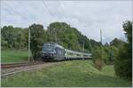 Die BLS Re 465 006 ist bei Les Geneveys sur Coffrane mit ihrem EW III RE auf dem Weg nach Bern. 

3. Sept. 2020