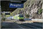 Mit der BLS Re 465 003 und einer BLS Re 475 an der Spitze fährt ein langer Güterzug durch die Station Preglia.