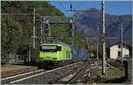 Trotzt der beiden Loks an der Spitze muss die BLS Re 465 013 den Güterterzug noch nachschieben.