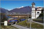 Eine SBB Cargo Re 474 mit einem Güterzug bei Magadino.