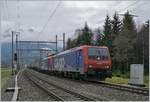 Bei Mülenen fahren die SBB Cargo Re 474 003 und eine weitere mit einem Transitgüterzug Richtung Spiez.