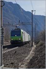 Die BLS Re 485 001 und eine weiter mit einer durch die beiden Loks verdeckten RoLa auf dem Weg nach Freiburg i.B kurz vor Varzo.
11. März 2017