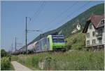 Etwas von der Vegetation verdeckt ist die BLS Re 485 014 mit einem Kesselwagenzug bei Ligerz auf der Fahrt Richtung Biel/Bienne.