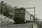 Im Archiv aufgestöbert: die Ae 6/6 11434 mit einem Güterzug Richtung Lausanne bei Bossière.
16. Okt. 2007