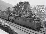 Die SBB Ae 6/6 11452 ist kurz nach Villeneuve mit einem Güterzug in Richtung Lausanne unterwegs.