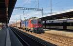 Re6/6 620 019  Arbon  durchfährt mit einem langen Güterzug den Bahnhof Stein-Säckingen. Rechts steht der Domino-Zug des Pendelverkehrs Stein Säckingen - Laufenburg. 21.August 2024 