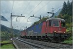  Re 10/10  mit der Spitzenlok 620 065-3 auf der Fahrt nach Norden nähe Pfaffensprung.
10. Okt 2014