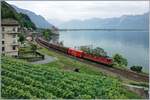 Die SBB Re 620 017-4 mit dem Novelis Güterzug Sierre - Singen - Göttingen beim Château de Chillon.