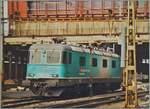 Auch die SBB RE 6/6 11655 zeigte sich in Basel in der SBB Cargo Versuchslackierung.
Analog Bild vom Fe.b 2000. 